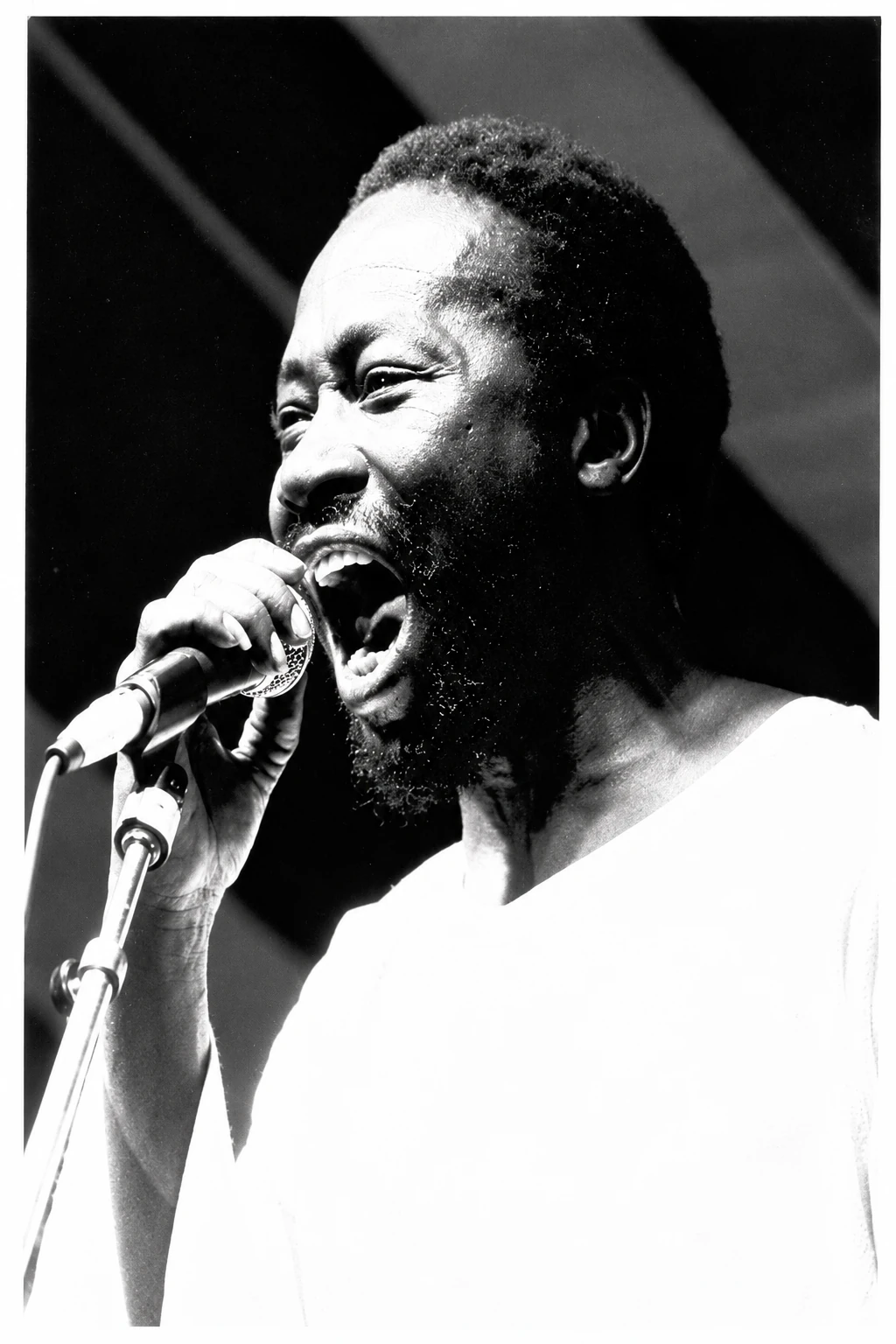 Resolution-enhanced Photograph of Pap Touray